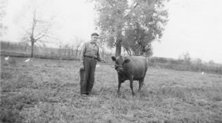 Pickletown - Robert Seifert with cow 1943