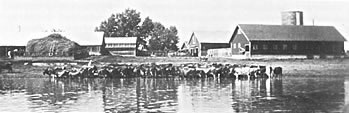 Beers Sisters Dairy Farm, c.1936. The five sisters operated the popular dairy near Belleview and Wadsworth.