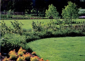 Park - Hudson Gardens Grasses