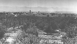 Page's Orchard, later known as Woodlawn