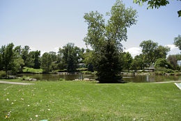 Sterne Park Lake 2015